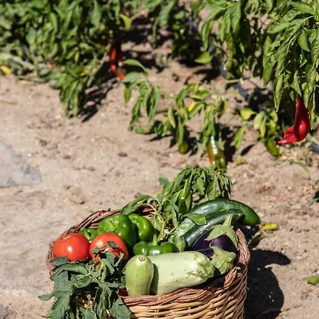 Aqua Breeze On The Casa vacanze Pláka